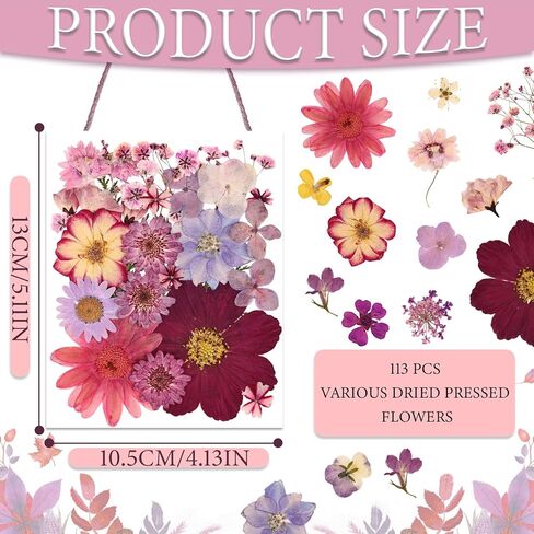 Eshow 40pcs راتنجات الزهور المجففة ، الزهور الجافة لإكسسوارات الراتنج مع ملاقط ، زهرة مجففة لحرف الفن السكر "DIY" ، قوالب مجوهرات الراتنجات الإيبوكسي ، شمعة ، ديكور الأظافر in Kuwait