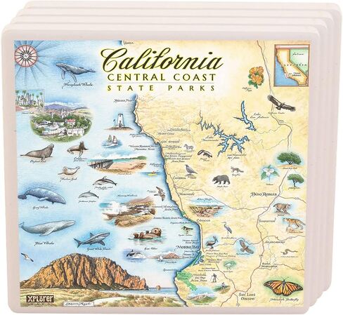 Florida's Sanibel-Captiva Islands Map Ceramic Coasters with Cork Base - Set of 4 in Kuwait