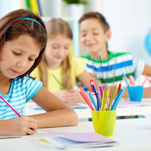 Plastic Rulers, 6 Inch Ruler, 12 Inch Ruler, Clear Ruler with Centimeters and Inches, Straight Plastic Ruler Set for Students School and Office in Kuwait