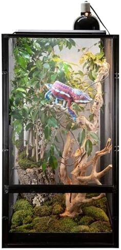 مجموعة Zoo Med Deluxe Chameleon in Kuwait