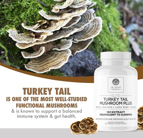 دكتور. Emil Nutrition 9000mg Lions Lions Mane Capsules مع Chaga و Reishi & Maitake - Mushroom Blend لدعم العافية in Kuwait