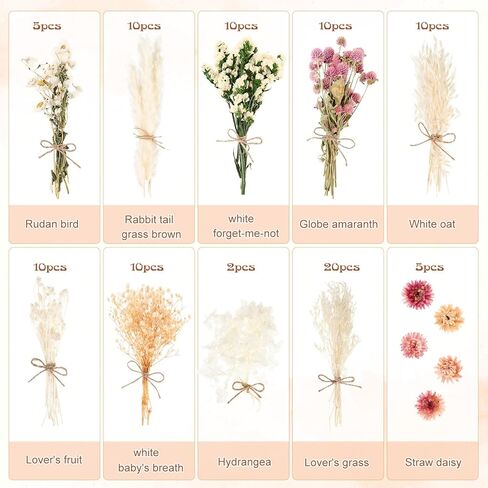11 Kinds of Dried Flowers for Crafts Bulk DIY Natural Multi-color Dried Pampas Grass Lavender Forget Me Not Babys Breath with Stems Dry Flower Bouquets with Hemp Rope for Home Decor Floral Arrangement in Kuwait