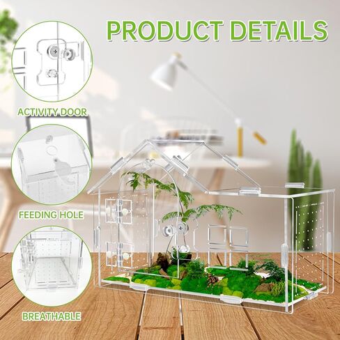 Acrylic Jumping Spider Enclosure with Double Compartments, Large Size,15.7 * 7.8 * 7.8 inches, Reptile Terrarium Aquarium Breeding Tank for Reptiles Spiders Snake Lizard in Kuwait