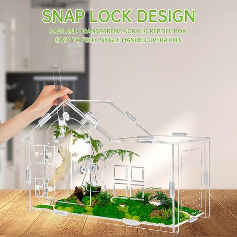 Acrylic Jumping Spider Enclosure with Double Compartments, Large Size,15.7 * 7.8 * 7.8 inches, Reptile Terrarium Aquarium Breeding Tank for Reptiles Spiders Snake Lizard in Kuwait