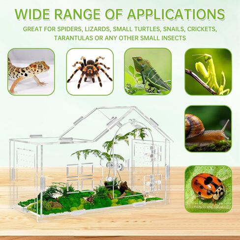 Acrylic Jumping Spider Enclosure with Double Compartments, Large Size,15.7 * 7.8 * 7.8 inches, Reptile Terrarium Aquarium Breeding Tank for Reptiles Spiders Snake Lizard in Kuwait