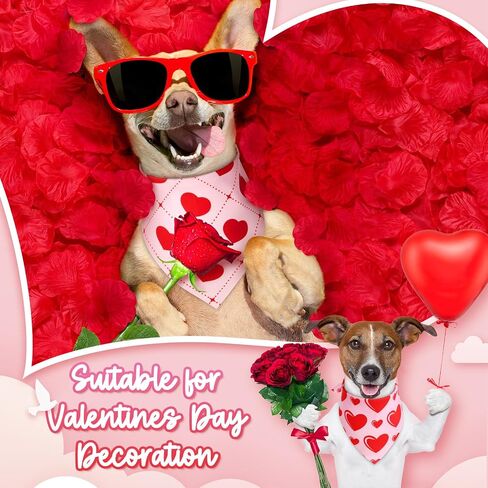 100 قطعة St. Patricks Day Dog Bandanas Bulk Easter Bandanas for Dogs Shamrock Heart Bunny Holiday Festival Triangle Triangle Pibs for small large party party (25.6 × 17.7 × 17.7) in Kuwait