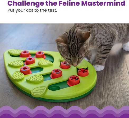 Catstages by Nina Ottosson Buggin' Out Puzzle & Play - Interactive Cat Treat Puzzle in Kuwait