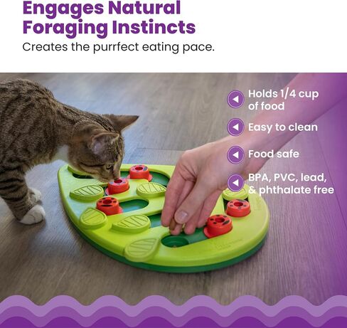 Catstages by Nina Ottosson Buggin' Out Puzzle & Play - Interactive Cat Treat Puzzle in Kuwait