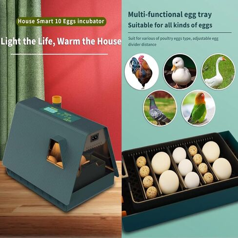 Egg Incubator with Automatic Egg turning and Humidity Control, 10 Eggs Incubator with Automatic Temperature Control, Eggs Incubator for Hatching Chicken Goose Pigeon Quail Duck in Saudi Arabia