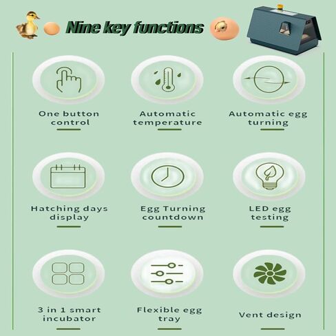 Egg Incubator with Automatic Egg turning and Humidity Control, 10 Eggs Incubator with Automatic Temperature Control, Eggs Incubator for Hatching Chicken Goose Pigeon Quail Duck in Saudi Arabia