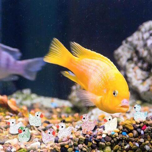 100Pcs Mini Resin Ducks, Tiny Ducks Figurines Bulk for Miniature Dollhouse Decor Accessories Garden Aquarium Potted DIY Ornament Party Toys in Kuwait