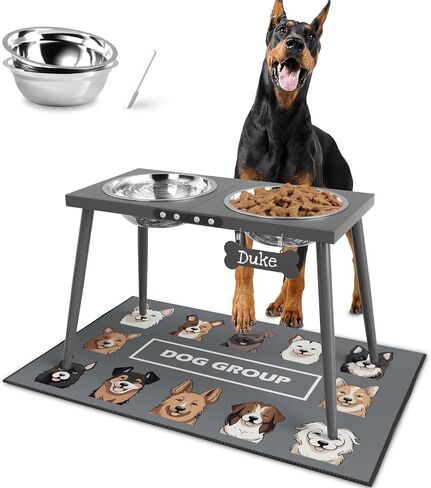 Metal Raised Dog Bowl Stand for Large and Medium Dogs, Stronger Elevated Dog Bowls with Sprill Proof Mat, Dog Food & Water Bowls 10" Tall Dog Feeder (58OZ-Stainless Steel Dog Bowls, Mat-16x24) in Saudi Arabia