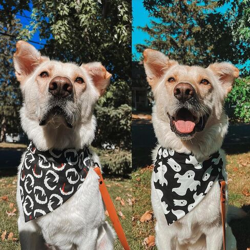 عصابات الهالوين للكلاب، قطعتين، طباعة شبح الخفافيش باللونين الأبيض والأسود، وشاح مثلث للحيوانات الأليفة، نسيج متين ممتاز، مقاس قابل للتعديل (هالوين غوهست والخفافيش، مقاس واحد) in Kuwait