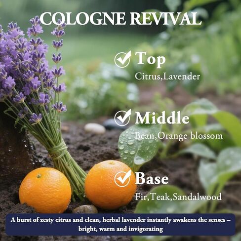 معطر هواء السيارة المعلقة ، 2 عبوة طويلة الأمد للسيارات تصل إلى 30-45 يومًا ، وموزع الزيت العطور الطبيعية للمكتب المنزلي - Mahogany Coconut in Kuwait