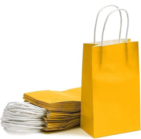 BLUE PANDA 25-Pack Orange Gift Bags with Handles - Medium Size Paper Bags for Birthday, Wedding, Retail (8x3.9x10 In) in Kuwait