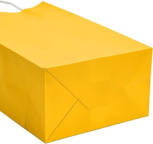 BLUE PANDA 25-Pack Orange Gift Bags with Handles - Medium Size Paper Bags for Birthday, Wedding, Retail (8x3.9x10 In) in Kuwait