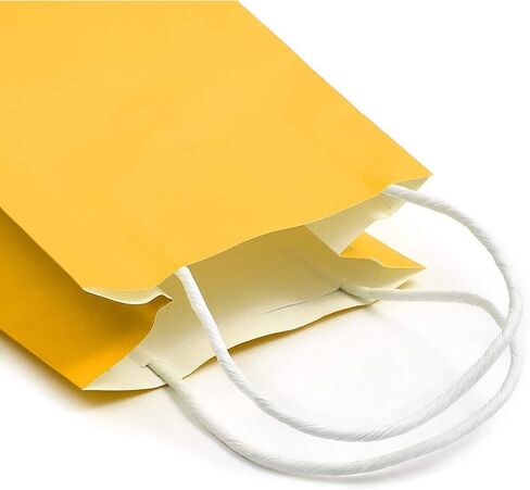 BLUE PANDA 25-Pack Orange Gift Bags with Handles - Medium Size Paper Bags for Birthday, Wedding, Retail (8x3.9x10 In) in Kuwait