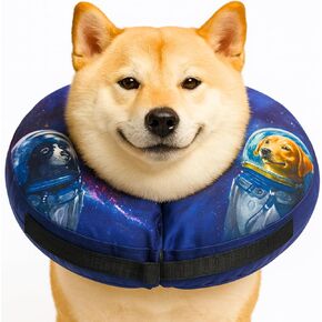 Light Up Dog Collar – Rechargeable, Waterproof, Premium Leather, Blue, Glow in The Dark – Pet Safety Necklace – LED Dog Collar Lights for Dogs Walking at Night, Camping, Traveling – for Large Breeds in Kuwait