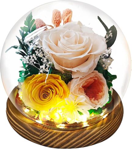 Preserved Real Rose Gifts for Her- Red Forever Rose in Glass Dome with LED for Women Mom Girlfriend Grandma Wife Birthday Mother's Day Christmas Valentines Day Gifts in Saudi Arabia