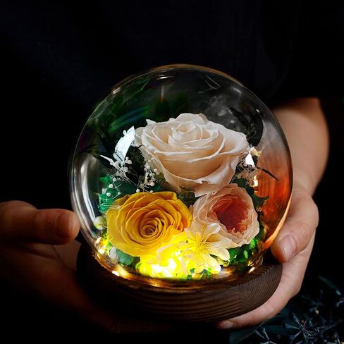 Preserved Real Rose Gifts for Her- Red Forever Rose in Glass Dome with LED for Women Mom Girlfriend Grandma Wife Birthday Mother's Day Christmas Valentines Day Gifts in Saudi Arabia