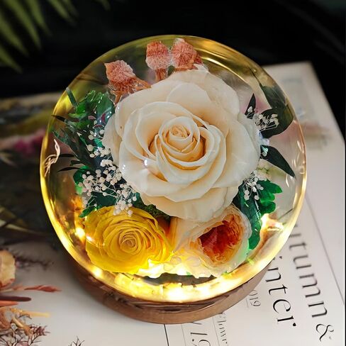 Preserved Real Rose Gifts for Her- Red Forever Rose in Glass Dome with LED for Women Mom Girlfriend Grandma Wife Birthday Mother's Day Christmas Valentines Day Gifts in Saudi Arabia