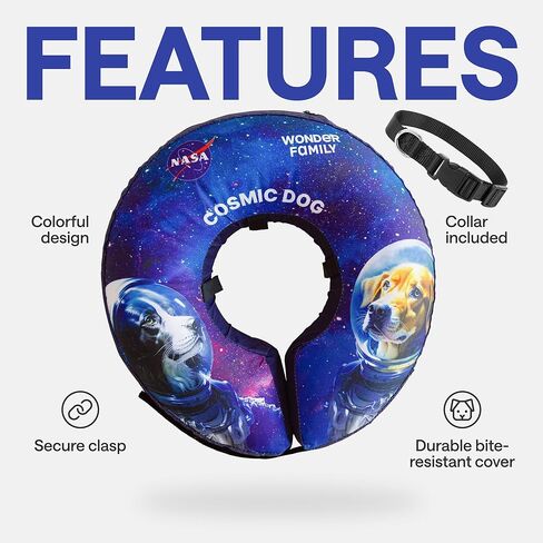 Light Up Dog Collar – Rechargeable, Waterproof, Premium Leather, Blue, Glow in The Dark – Pet Safety Necklace – LED Dog Collar Lights for Dogs Walking at Night, Camping, Traveling – for Large Breeds in Kuwait