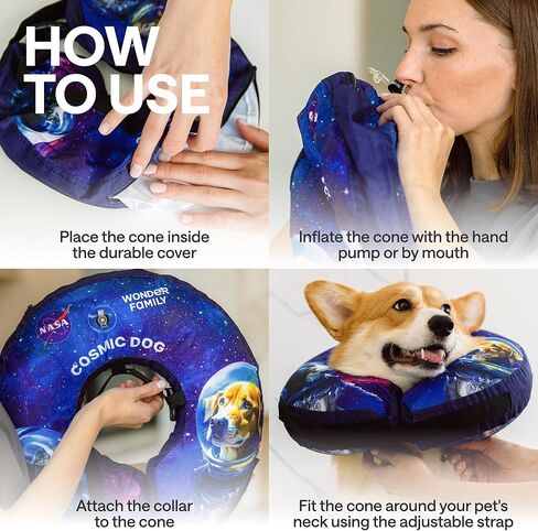 Light Up Dog Collar – Rechargeable, Waterproof, Premium Leather, Blue, Glow in The Dark – Pet Safety Necklace – LED Dog Collar Lights for Dogs Walking at Night, Camping, Traveling – for Large Breeds in Kuwait