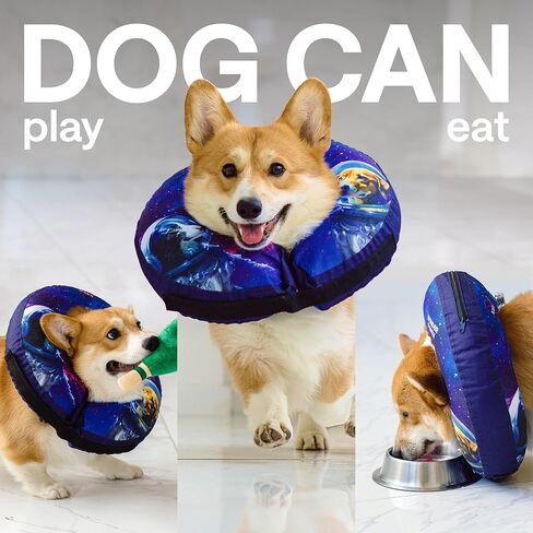 Light Up Dog Collar – Rechargeable, Waterproof, Premium Leather, Blue, Glow in The Dark – Pet Safety Necklace – LED Dog Collar Lights for Dogs Walking at Night, Camping, Traveling – for Large Breeds in Kuwait