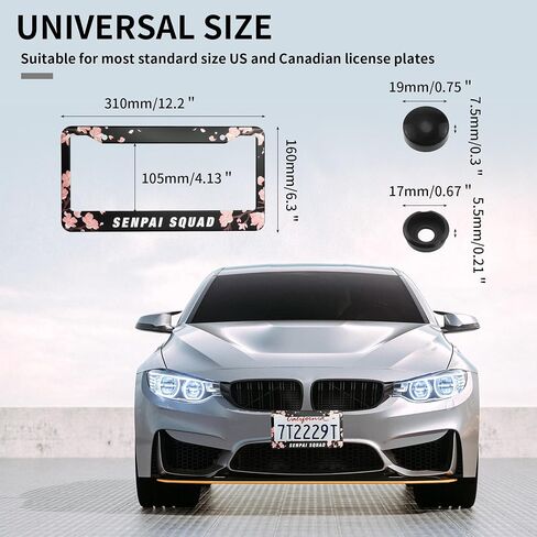 2PCS Stainless Steel License Plate Frames, 2 Holes Car Licence Plate Covers with Screws Washers and Caps, Car Exterior Accessories, License Plate Holder for US Vehicles Black in Saudi Arabia