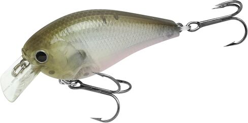 Lucky Craft LC 1.5 سحر الصيد الصامت Crankbait ، 2-3/8 "مربع بديل كرنكبيت ، سحر باس ، الطعم الصلب عمق 4 أقدام ، معدات الصيد ، 215 طحلب أسود in Kuwait