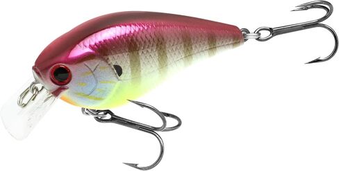 Lucky Craft LC 1.5 سحر الصيد الصامت Crankbait ، 2-3/8 "مربع بديل كرنكبيت ، سحر باس ، الطعم الصلب عمق 4 أقدام ، معدات الصيد ، 215 طحلب أسود in Kuwait