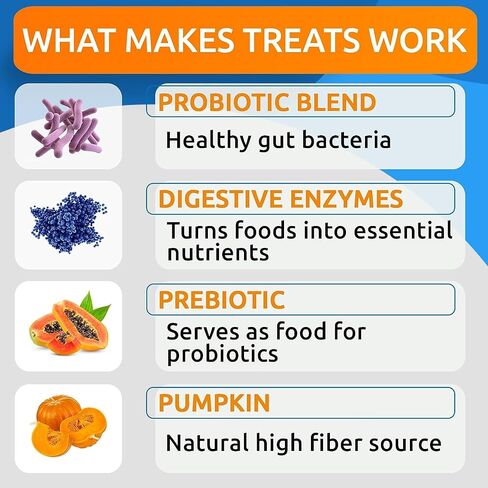BARK&SPARK Pumpkin for Dogs - Powdered Fiber Supplement and Stool Softener - Treat Diarrhea, Constipation, Upset Stomach, Food Sensitivity - Improve Digestion - Made in USA - 8.1oz Pumpkin Fruit in Saudi Arabia