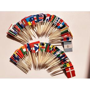 96Pcs Asia 48 Countries Toothpick Flags, Small Mini Country Stick Cupcake Toppers Flags Party Decoration Celebration Cocktail Food Bar Cake Flags