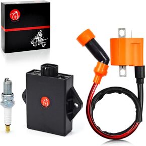 Igniter CDI Box and Ignition Coil ATV for Arctic Cat 250 350 1998-2005 for SUZUKI Quadrunner 250 1988-2002 Quadrunner 4WD 1987-1993 King Quad 300 1995-2002 3530-024 3530-011 32900-19B50 32900-19B40
