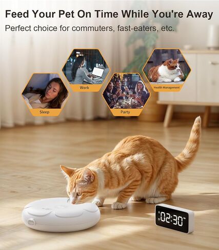 Casfuy Automatic Cat Feeder Cordless - موزع طعام القطط التلقائي مع صينية من الفولاذ المقاوم للصدأ للطعام الرطب، وحدة تغذية تلقائية قابلة لإعادة الشحن للقطط والكلاب الصغيرة مع مؤقت قابل للبرمجة ومؤشر بطارية منخفض in Kuwait
