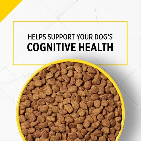 Purina Pro Plan Senior Dog Food With Probiotics for Dogs, Bright Mind 7+ Chicken & Rice Formula - 5 lb. Bag in Saudi Arabia