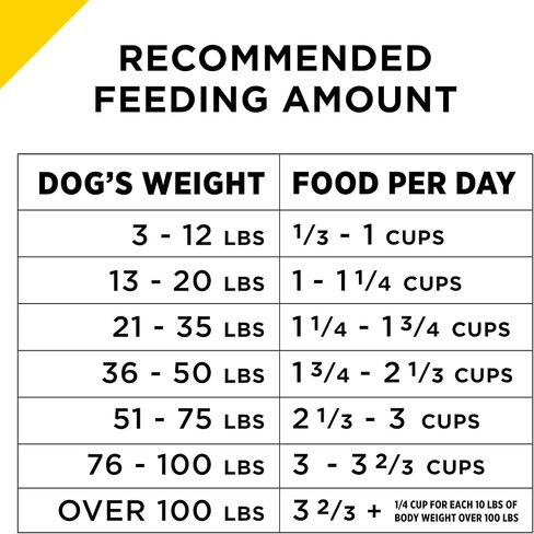 Purina Pro Plan Senior Dog Food With Probiotics for Dogs, Bright Mind 7+ Chicken & Rice Formula - 5 lb. Bag in Saudi Arabia