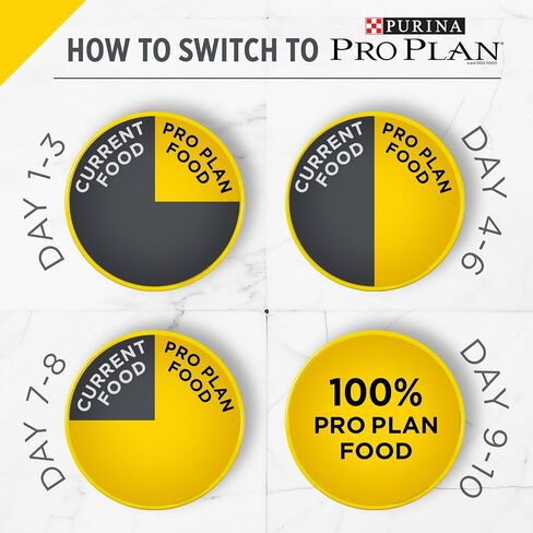 Purina Pro Plan Senior Dog Food With Probiotics for Dogs, Bright Mind 7+ Chicken & Rice Formula - 5 lb. Bag in Saudi Arabia