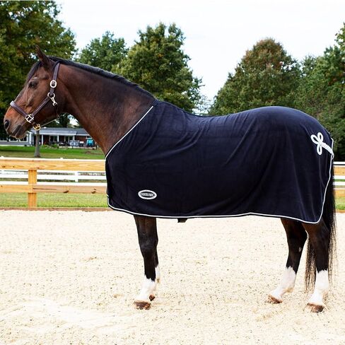 Country Pride Deluxe Fleece Show Cooler (متوسط ​​، أسود) ... in Kuwait