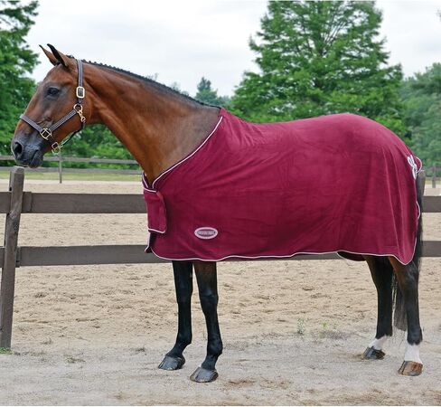 Country Pride Deluxe Fleece Show Cooler (متوسط ​​، أسود) ... in Kuwait