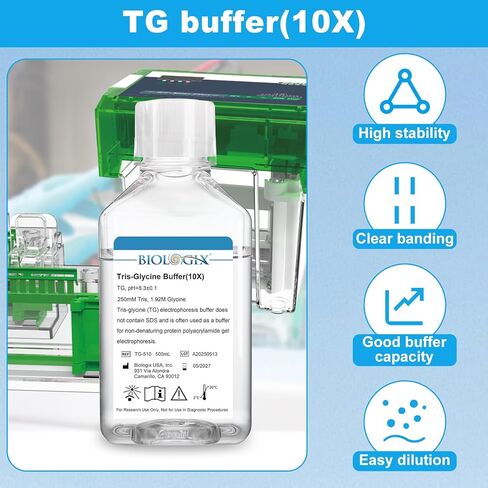 TG electrophoresis Buffer (10x) ، Tris-glycine Transfer Buffer للبقع الغربية والمواد الهلامية الأصلية ، الرقم الهيدروجيني 8.3 ، 500 مل/زجاجة ، زجاجة واحدة in Kuwait