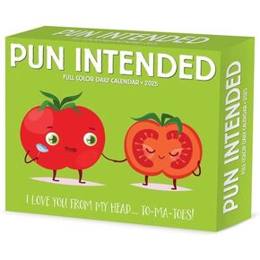 Willow Creek Press Pun Intended Daily 2025 Box/Desk Calendar (5.86" x 4.72") in Saudi Arabia