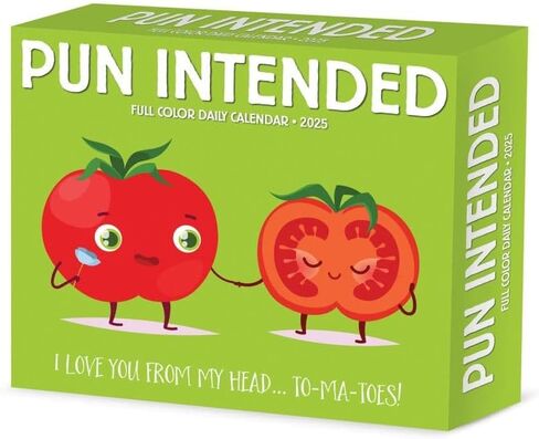 Willow Creek Press Pun Intended Daily 2025 Box/Desk Calendar (5.86" x 4.72") in Saudi Arabia