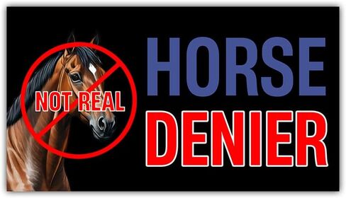 (3Pcs - 7.5x3.75 in) Horse Denier Car Bumper Sticker, Funny Quirky Car Decal, Adult Humor Truck Minivan Trailer Vehicle Decoration, Teens Meme Car Accessories, Gift for Family, Friends in Saudi Arabia