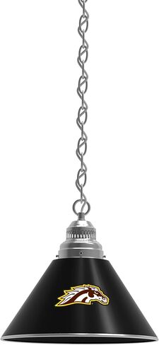 HBS Western Michigan University Single Shade Pendant Light in Saudi Arabia