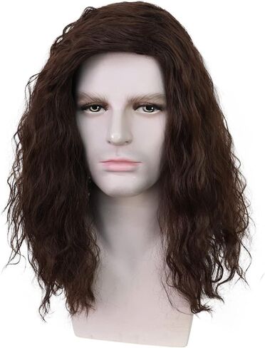 Mens Black Wig Shoulder Length Hair Natural Black Curly Male Wig Heat Resistant Synthetic Cosplay Costume Hair Replacement in Saudi Arabia