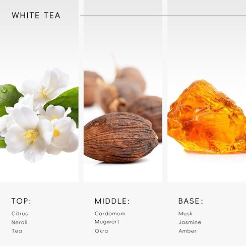 Hotel Diffuser Oil Inspired by The Hilton No.3 Scent - Premium Fragrance Oil No. SA61089182 for Ultrasonic and Waterless Diffuser - 120 mL, 4 fl oz in Saudi Arabia