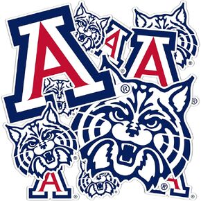 Desert Cactus University of Arizona Sticker UA Wildcats Stickers Vinyl Decals Laptop Water Bottle Car Scrapbook T1 (Type 1-1)