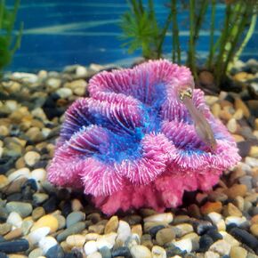 RVQIGYP Fish Tank Decoration Coral Aquarium Decoration Simulation Coral Decoration Fighting Fish Dodge Cave Betalie Fish Home Colorful Coral Mountain (Arched Coral Mountain)