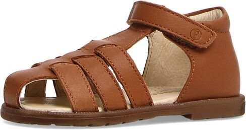 Naturino Baby Boy's Falcotto Cedric (Toddler) Cognac EU 25 (US 8 Toddler) M in Saudi Arabia